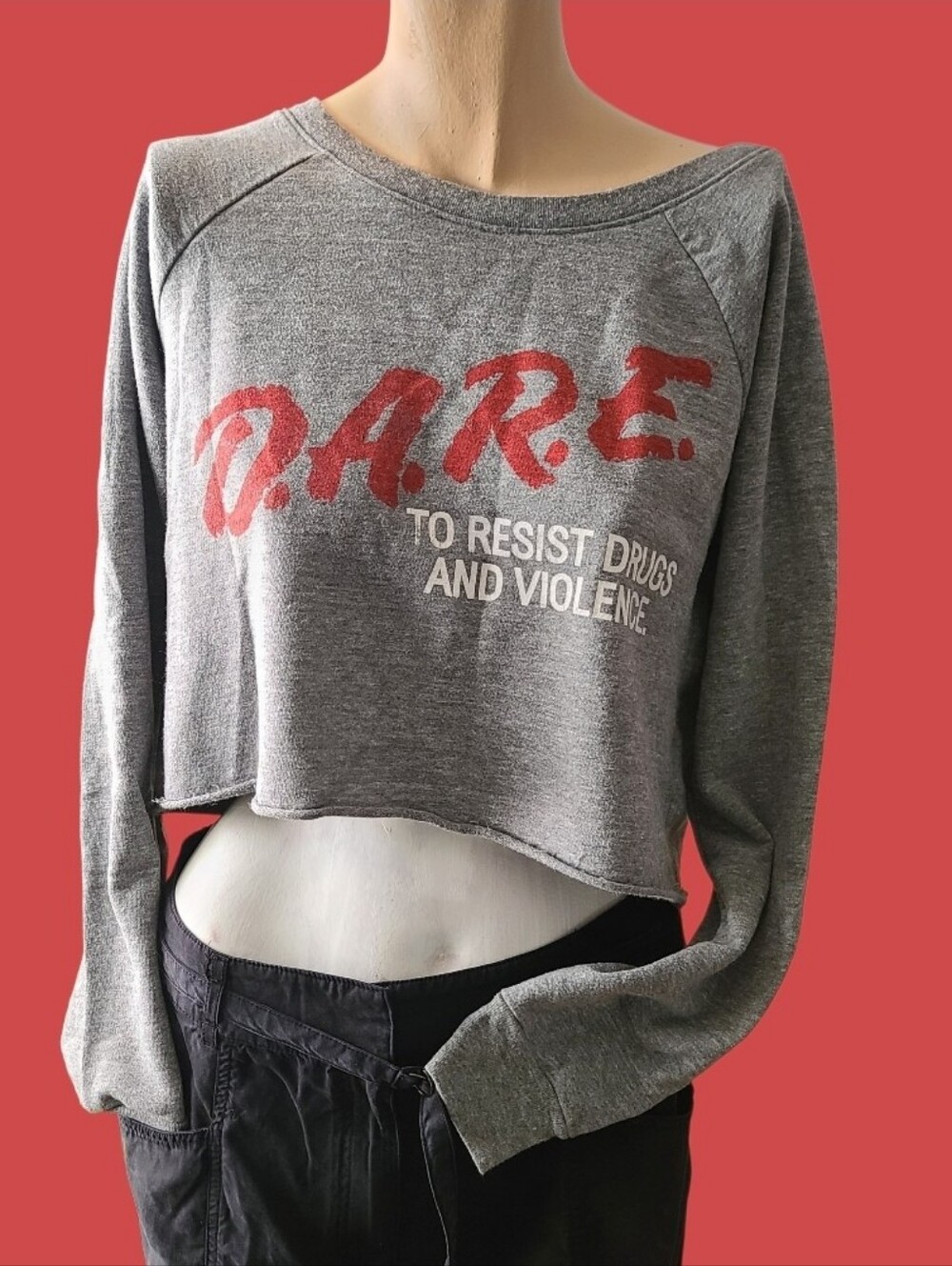 💣 Recycled Karma DARE To Resist Drugs and Violence Cropped Sweatshirt Gray M